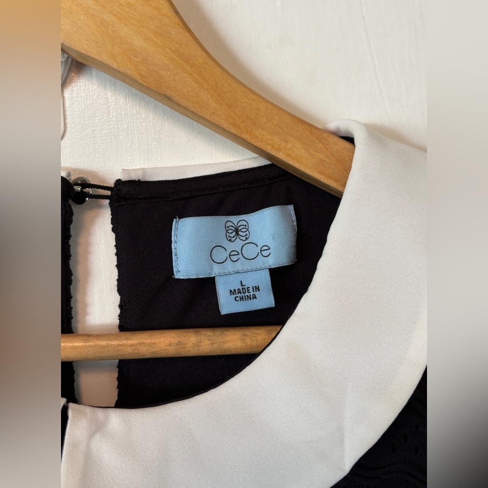 Sleeveless Black Mini Dress with White Peter Pan Collar - Picture 5 of 7